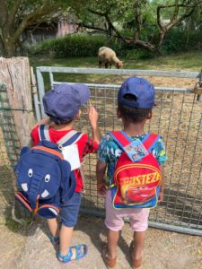 291046ac-0a97-43d4-9bd5-4fccf2e44677